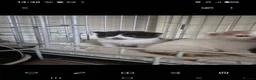 Turkish Van cats for sale: Ready to leave babies x3 black and white  - Advert 1