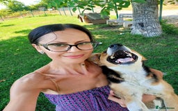 Mixed Breed dogs for adoption: Margot, 10+ yrs. Available for adoption  - Image 3