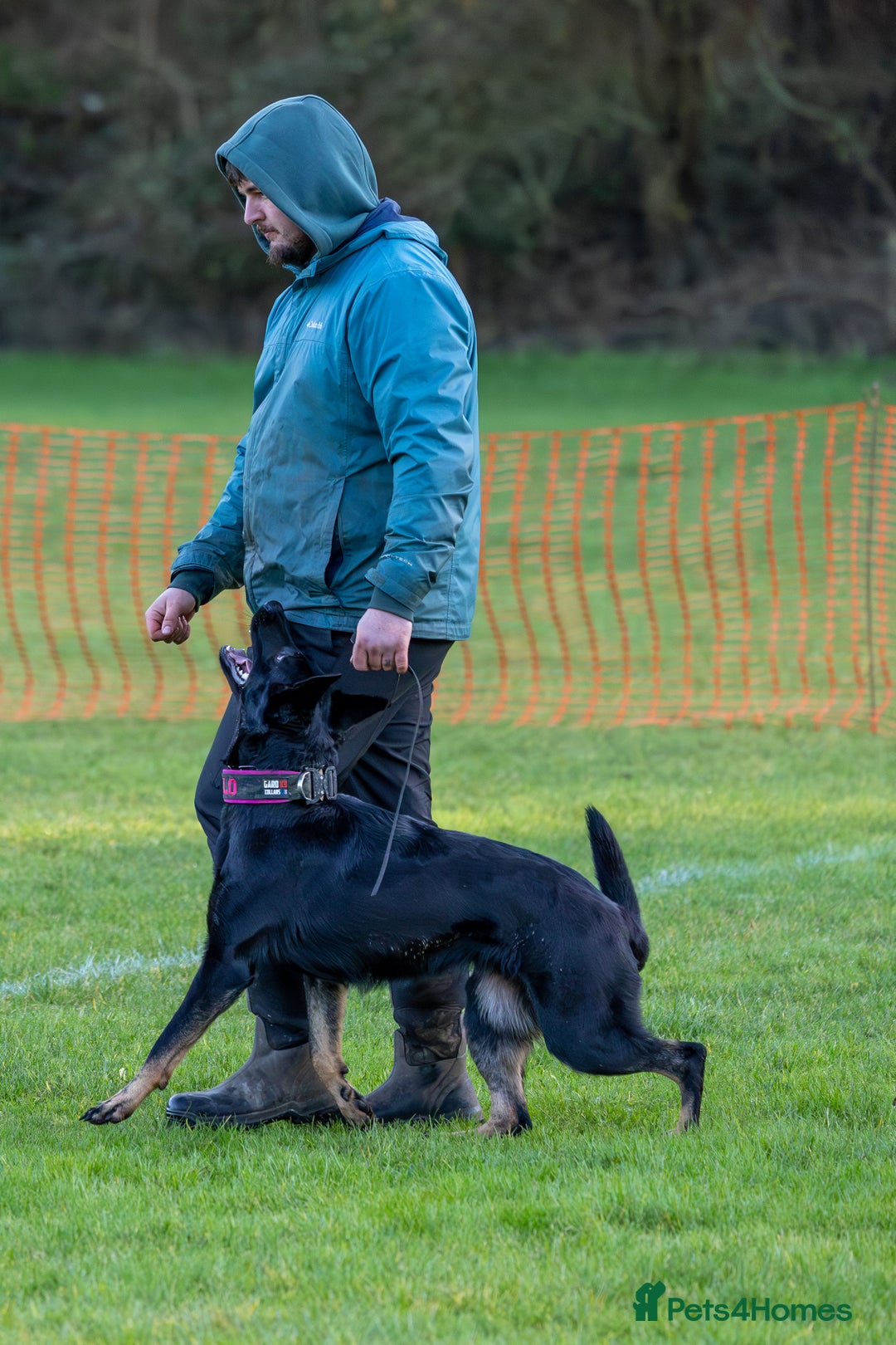 Gallery Image {{count}}