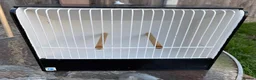 Budgerigars birds for sale: Budgie Show Cages  in Worksop - Advert 2