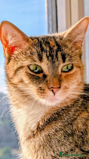 Gallery Image {{count}}