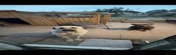 Turkish Kangal dogs for sale: Wolf the Turkish kangal in Rotherham - Advert 10