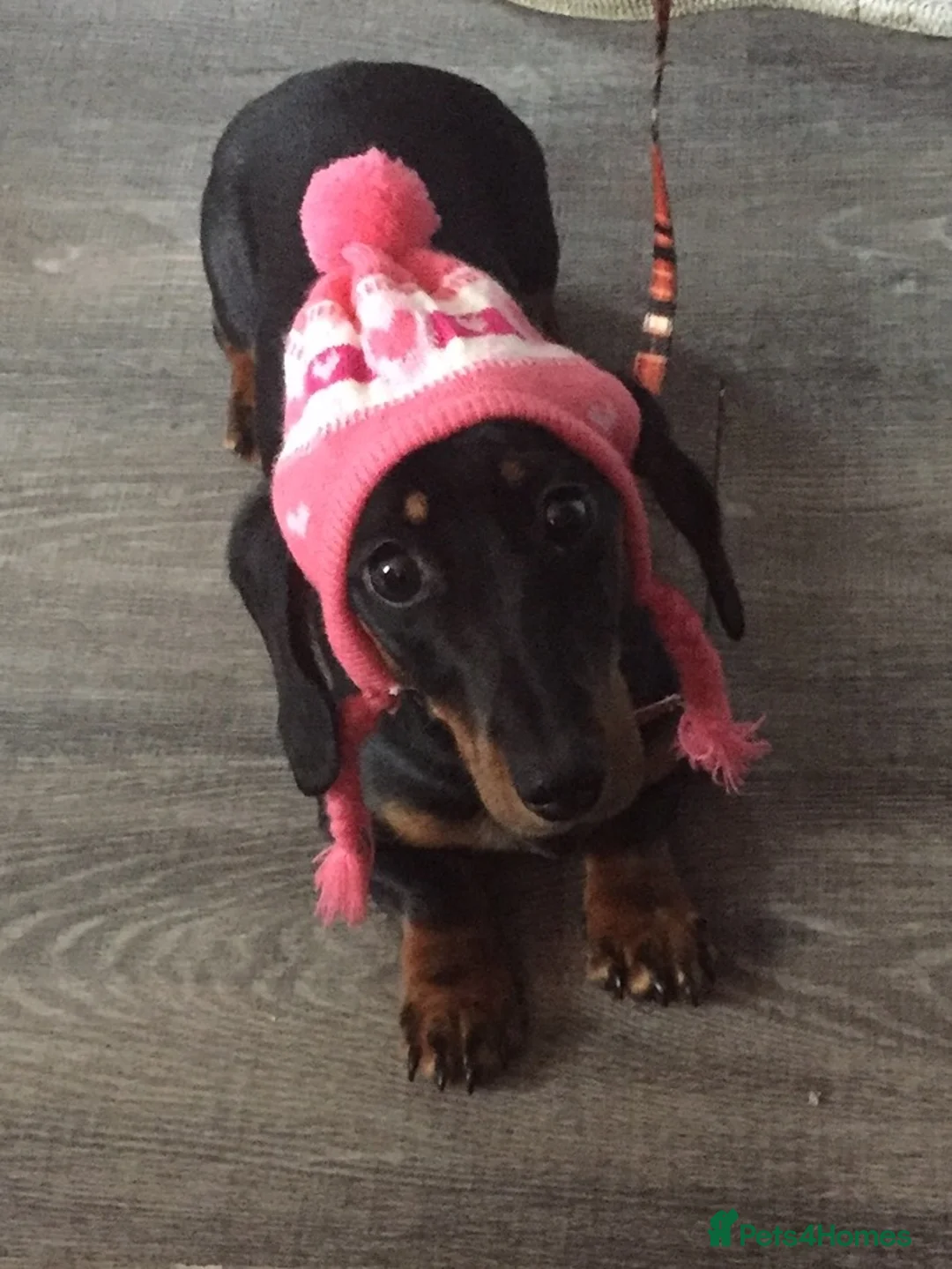 Gallery Image {{count}}