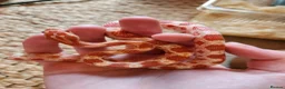 Snake reptiles for sale: Scaleless male and Het scaleless female corn snake - Advert 4