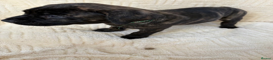 Green collar