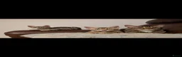 Bengal cats for sale: Pure bred bengal female kittens - Advert 1