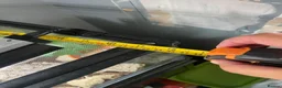 Gecko reptiles for sale: Mourning gecko enclosure and sand gecko enclosure  - Advert 17