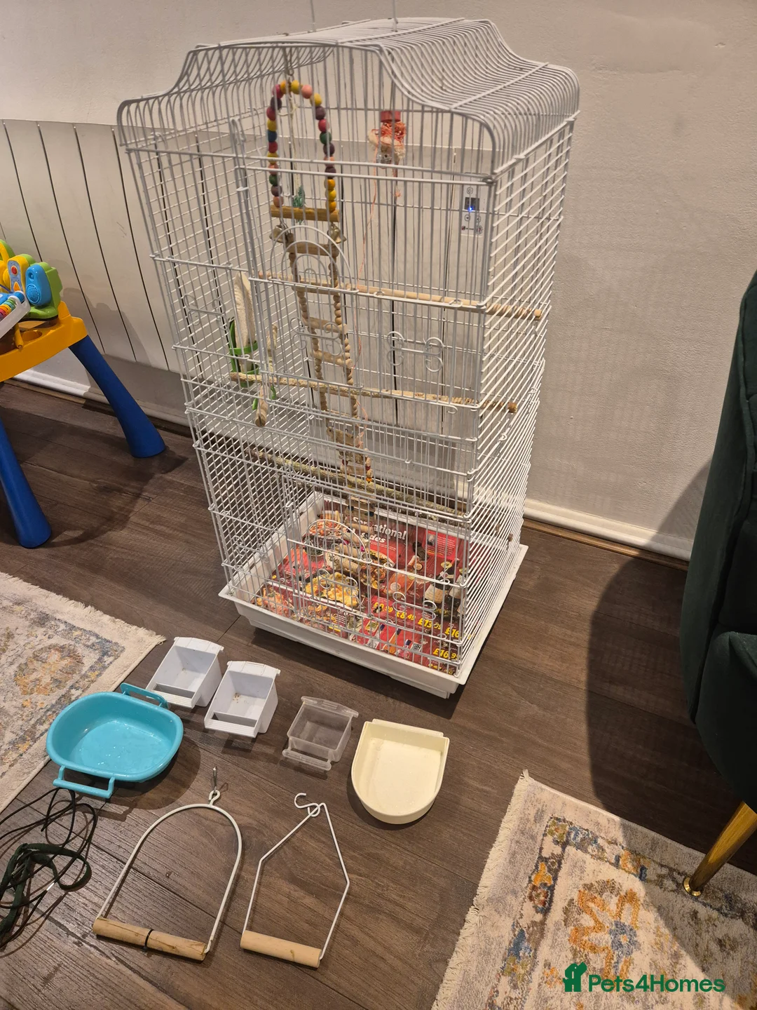 Cockatiels birds for sale: Bird Cage for Cockatiel, budgie, parrots, - Advert 1