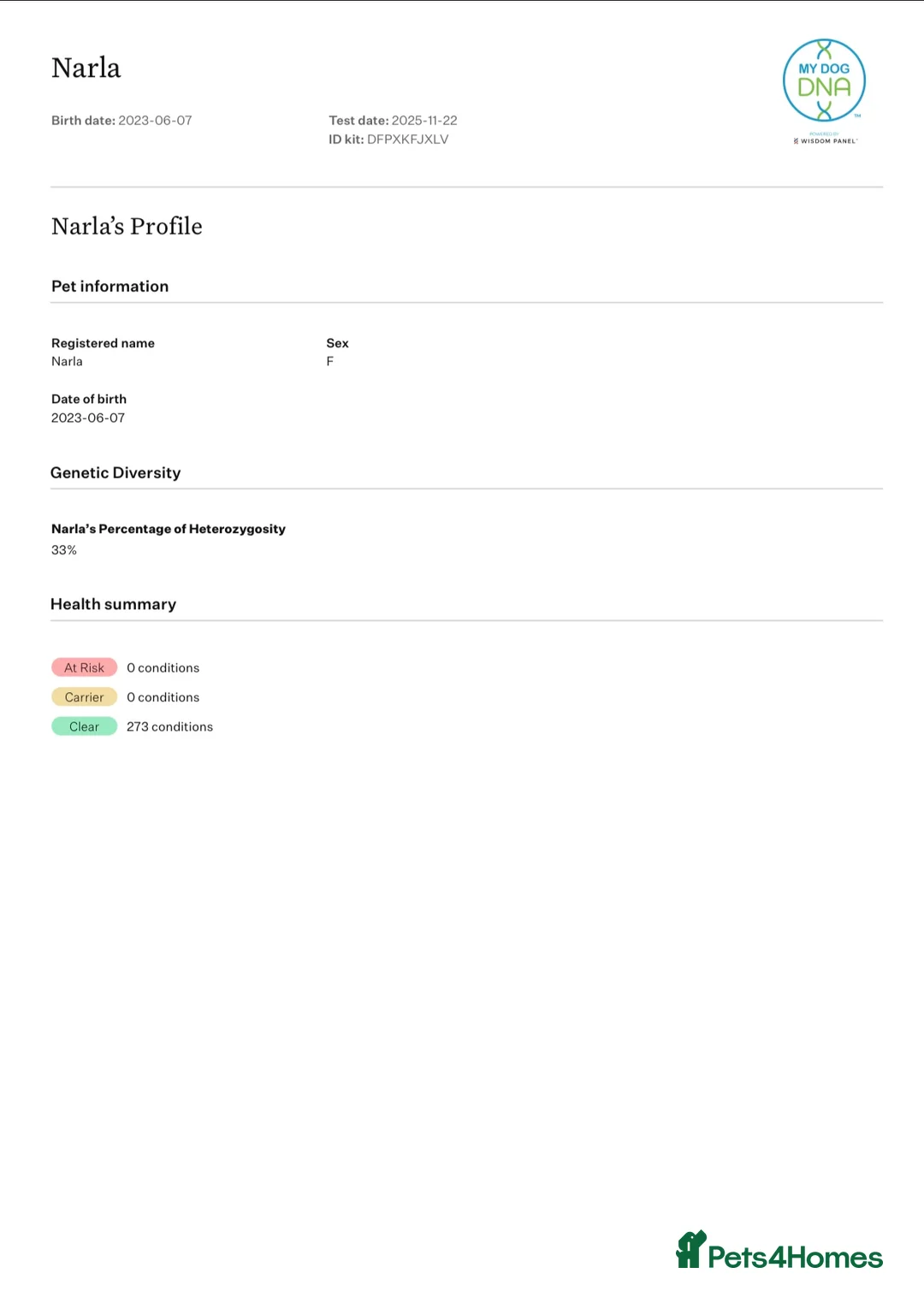 German Shepherd dogs for sale: German shepherd KC straight back bitch  - Advert 9