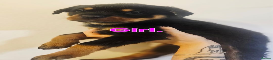 Girl 9 