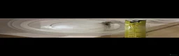 Axolotl reptiles for sale: Baby axolotls in Birmingham - Advert 5