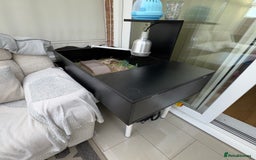 Tortoise reptiles for sale: tortoise with enclosure  - Image 4