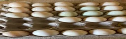 Ducks poultry for sale: Fertile runner duck eggs available  - Advert 2