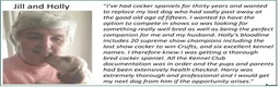 Cocker Spaniel dogs for sale: Stunning Show Cockers - Crufts Champion Pedigree in Stoke-on-Trent - Advert 19