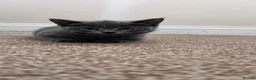 British Shorthair cats for sale: British shorthair kittens  in Birmingham - Advert 9