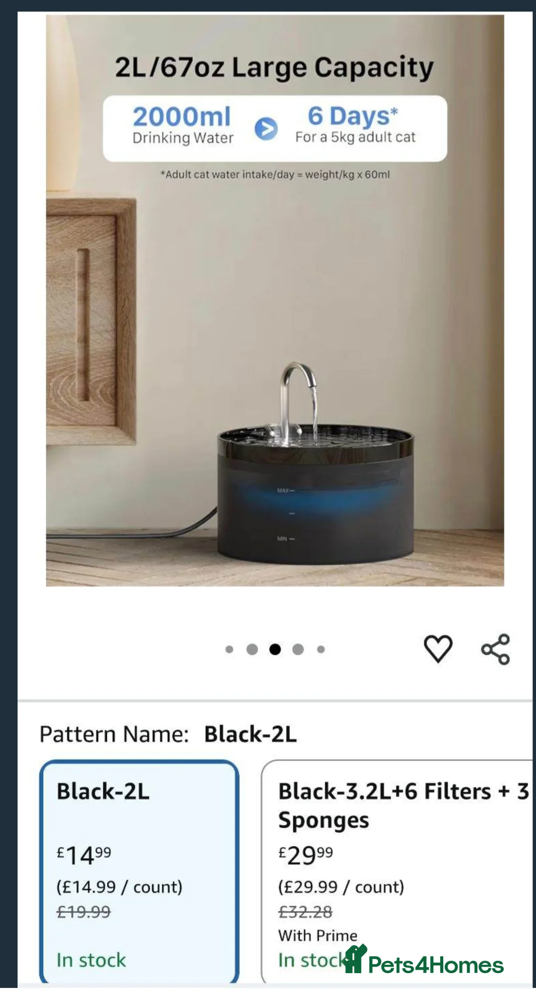 Khao Manee cats for sale: Khao Manee kitten 🐱 - Advert 7