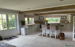 Cocker Spaniel dogs for sale: Lovely natured spaniel puppies - Image 11