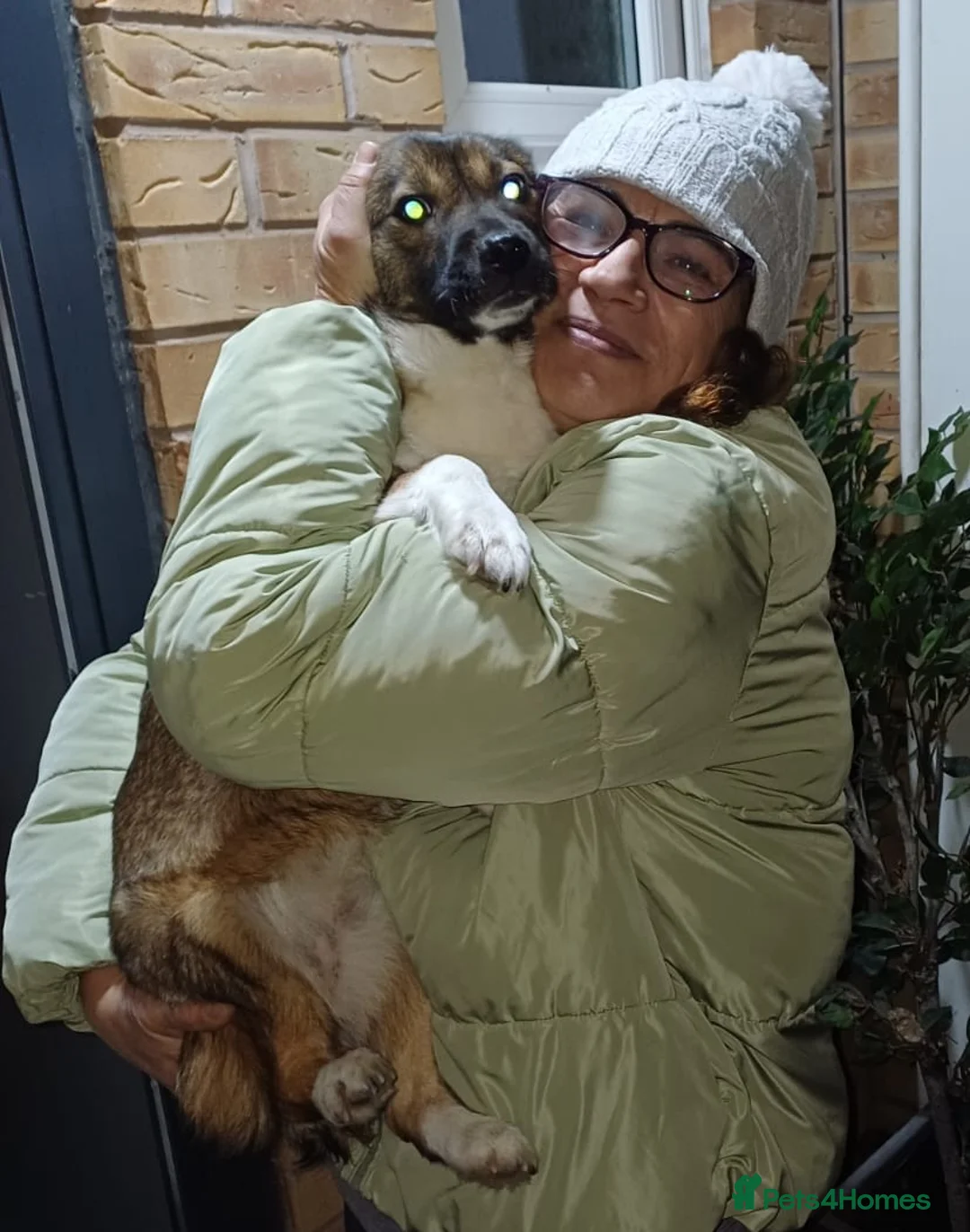 Mixed Breed dogs for adoption: BELLA -  a superb little girl, for a Loving Home - Advert 12