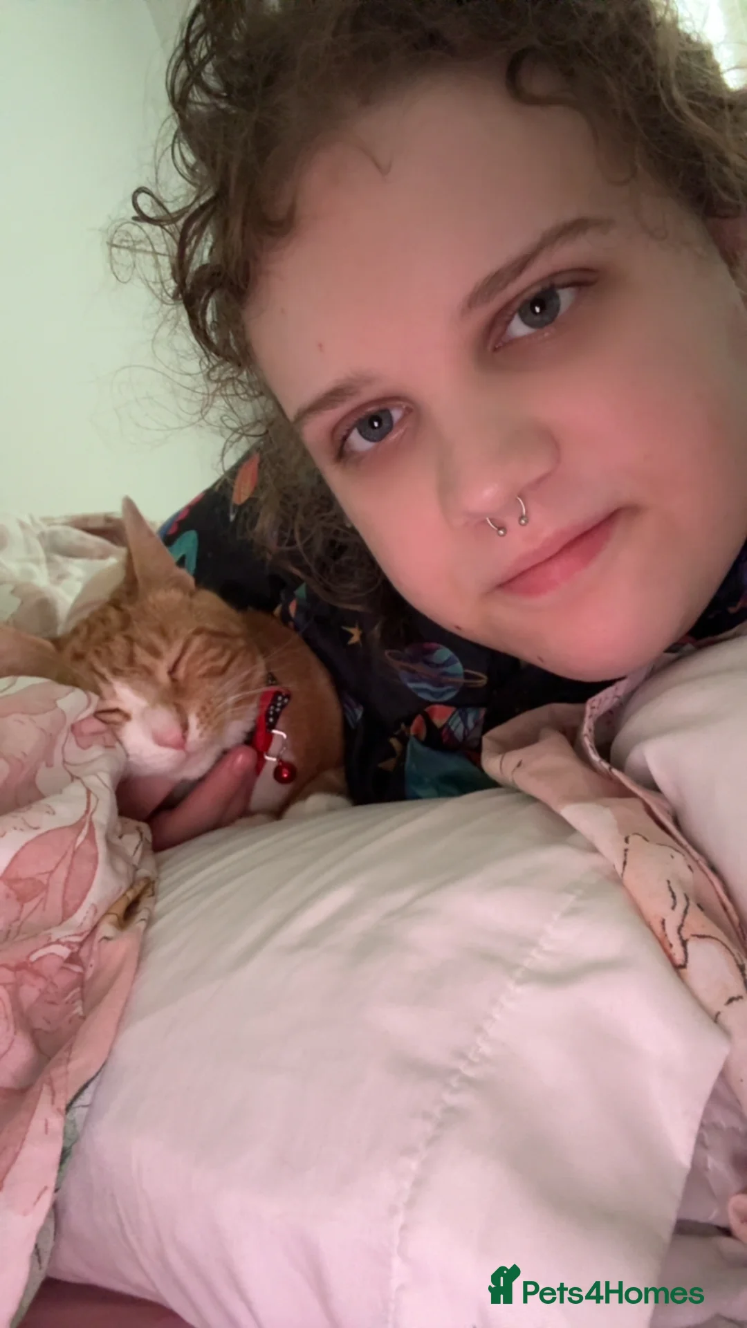 Mixed Breed cats for sale: Marla cat she’s 3 not 2 I can’t change  - Advert 28