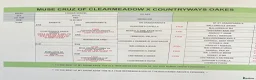 Cocker Spaniel dogs for sale: Working cocker spaniel, - Advert 26