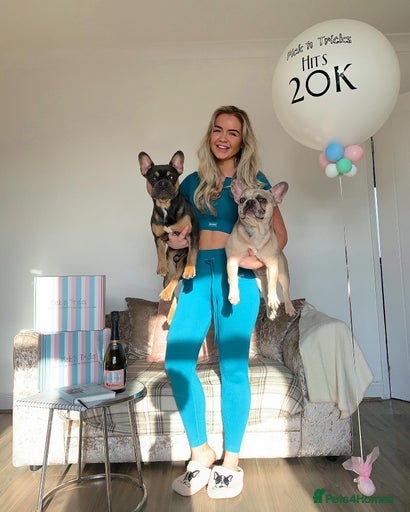 Gallery Image {{count}}