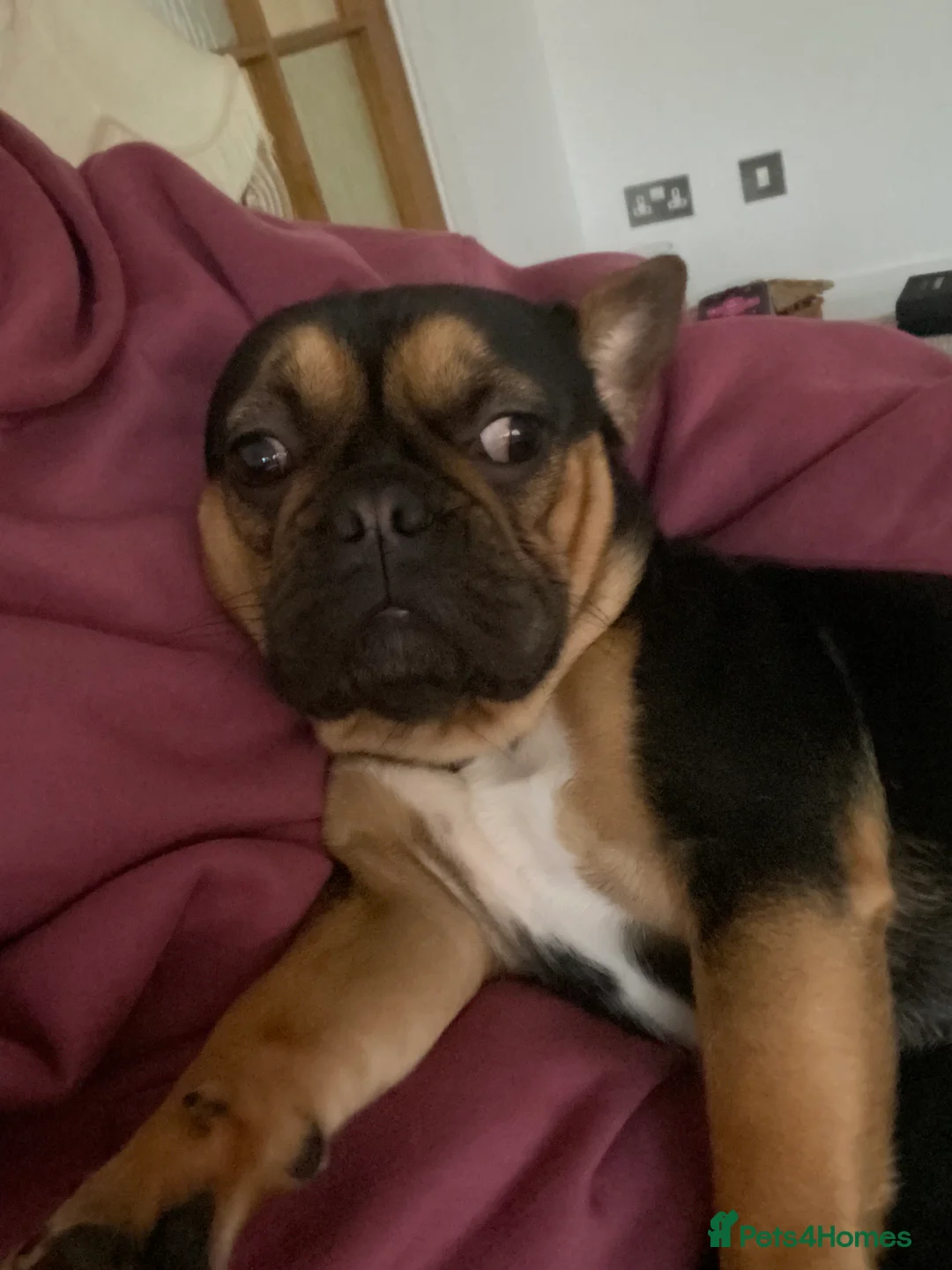 Gallery Image {{count}}