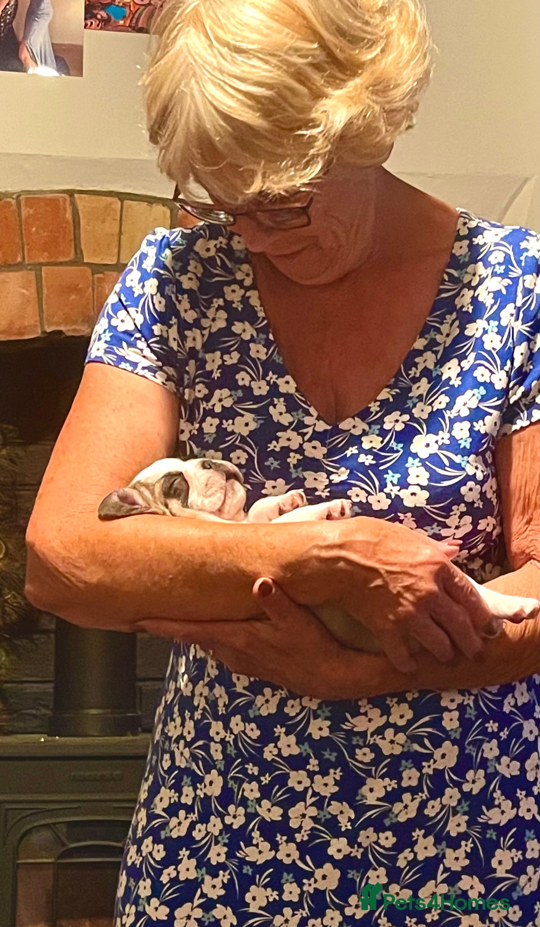 French Bulldog dogs for sale: REDUCED Adorable French Bulldog Puppies  - Image 11