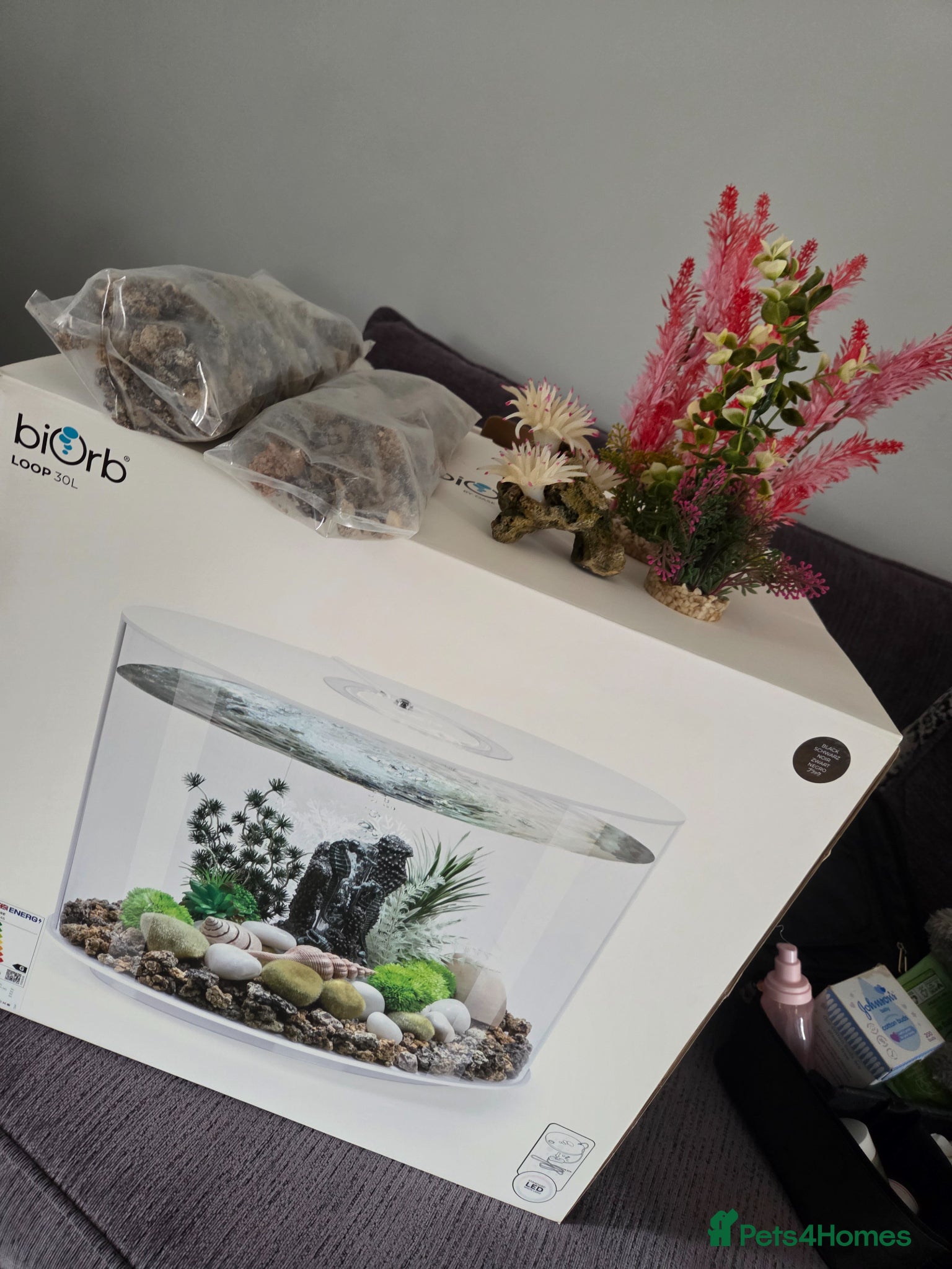 Danios fish Biorb loop 30ltr with accessories  - Advert 15