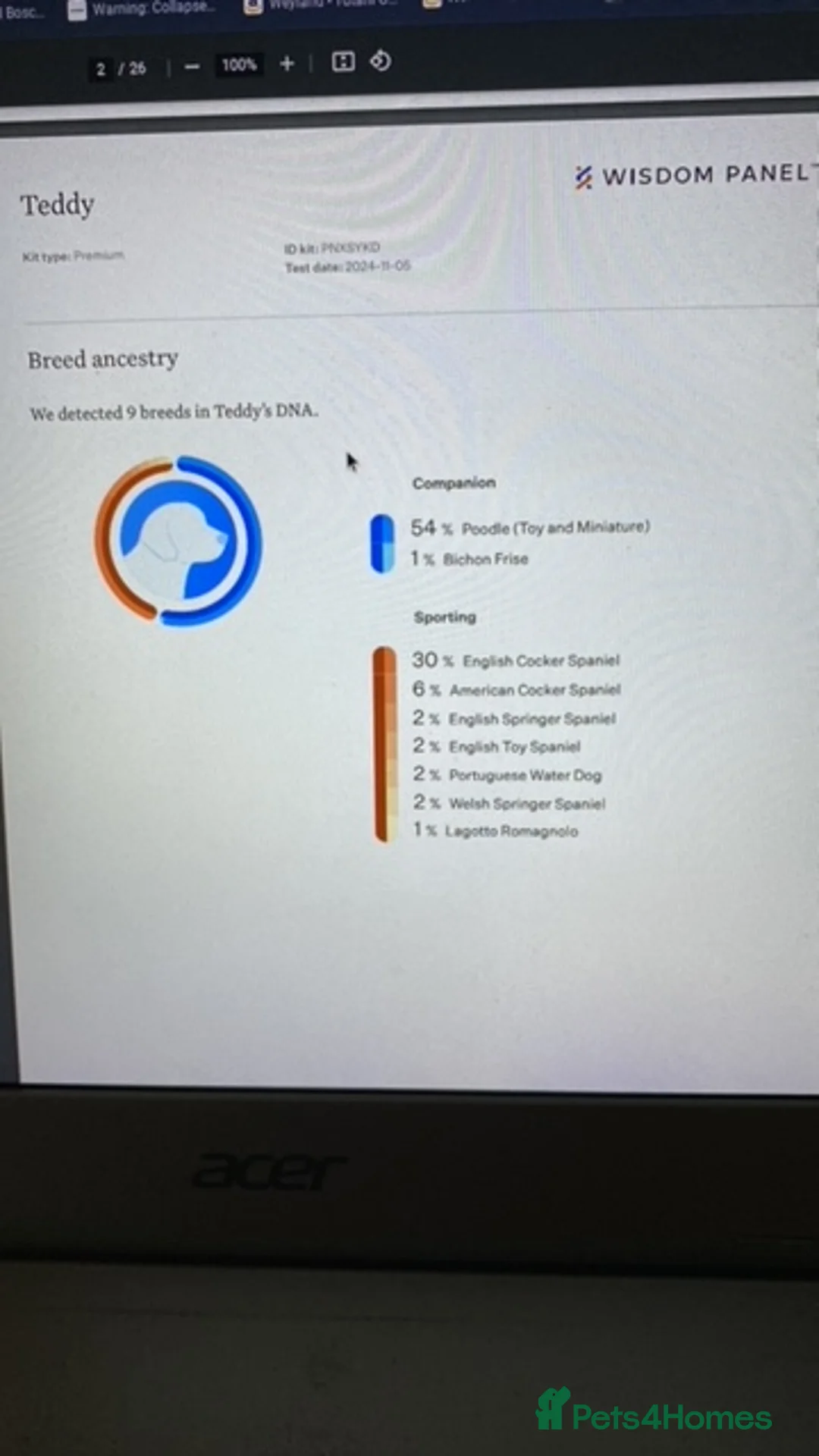 Cockapoo dogs for stud: DNA tested F1 Cockapoo stud  in London - Advert 12