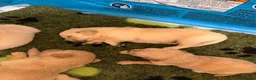 Golden Retriever dogs for sale: KC Registered Golden Retrievers - Advert 10