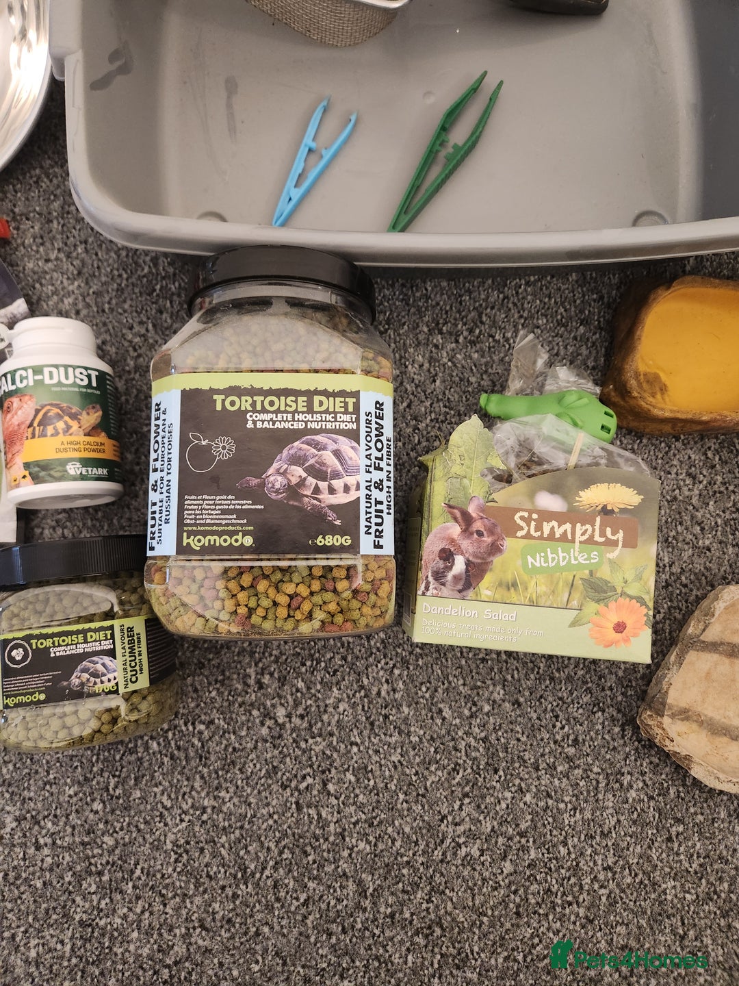 Hermann Tortoise reptiles for sale: Horsefield tort & full setup with lots of extras - Image 6