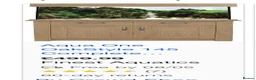 Live Bearers fish for sale: Fish tank and tropical fish - Advert 2