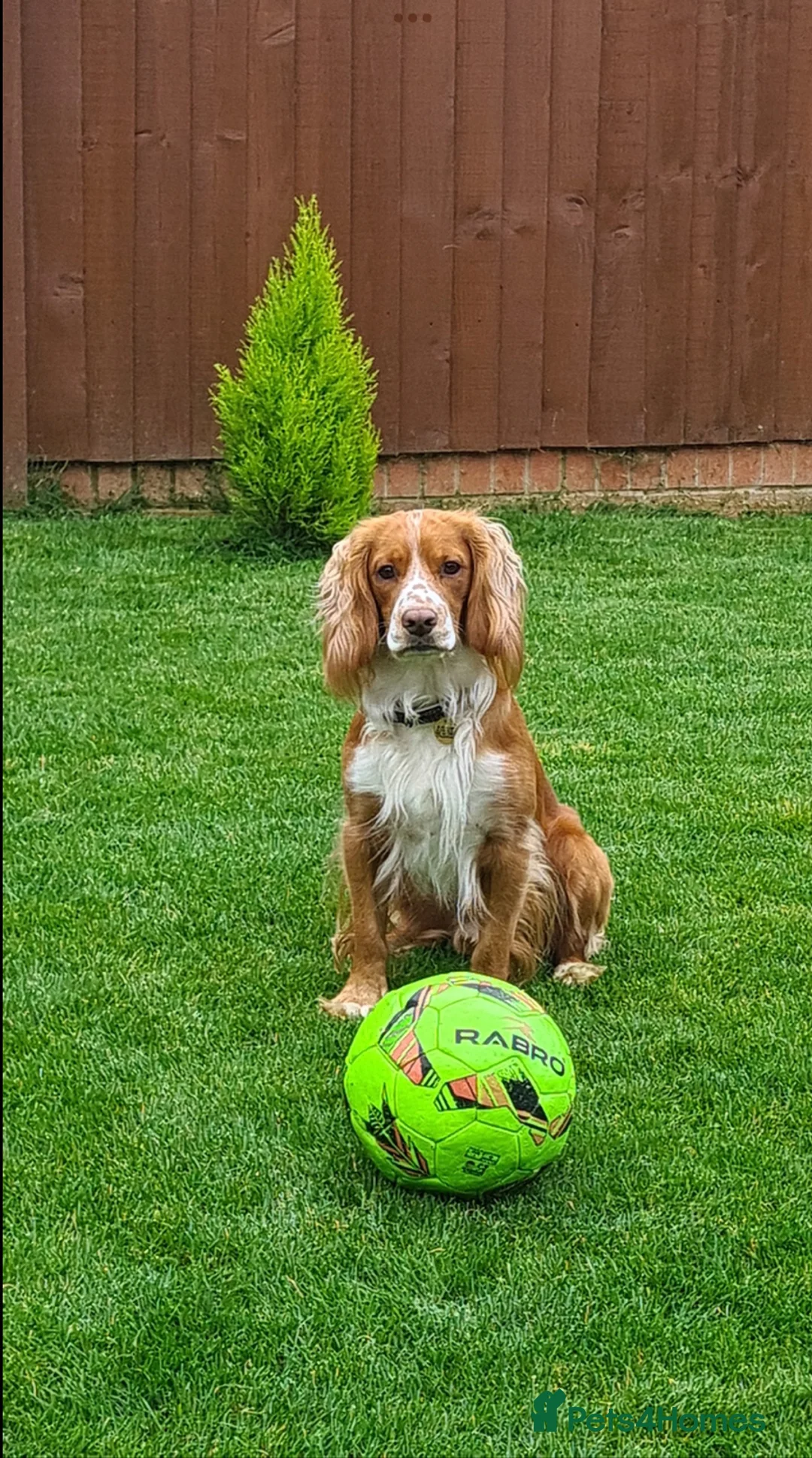 Gallery Image {{count}}