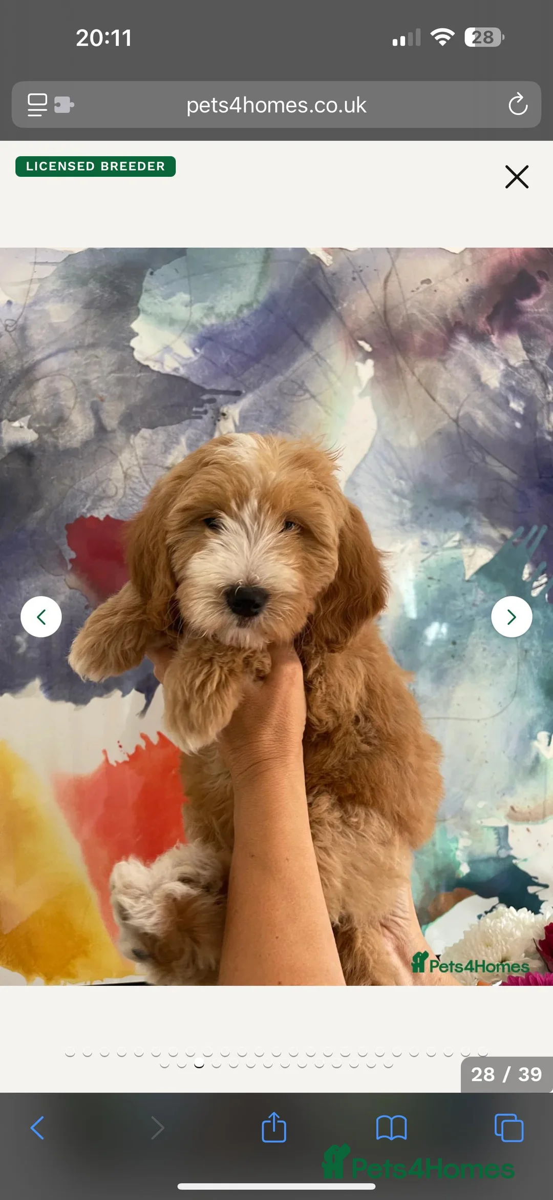 Gallery Image {{count}}