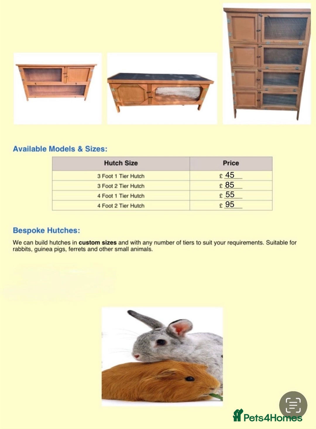 Mixed Breed rabbits for sale: New zealand cross Lionhead - Advert 13