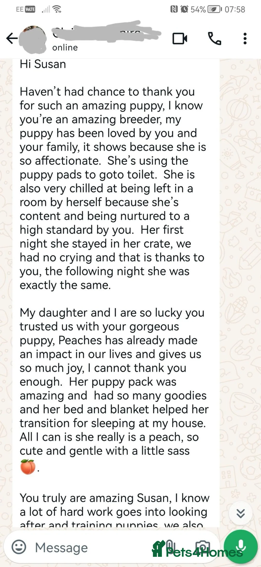 Maltipoo dogs for sale: DNA health tested maltipoo puppies  - Advert 19