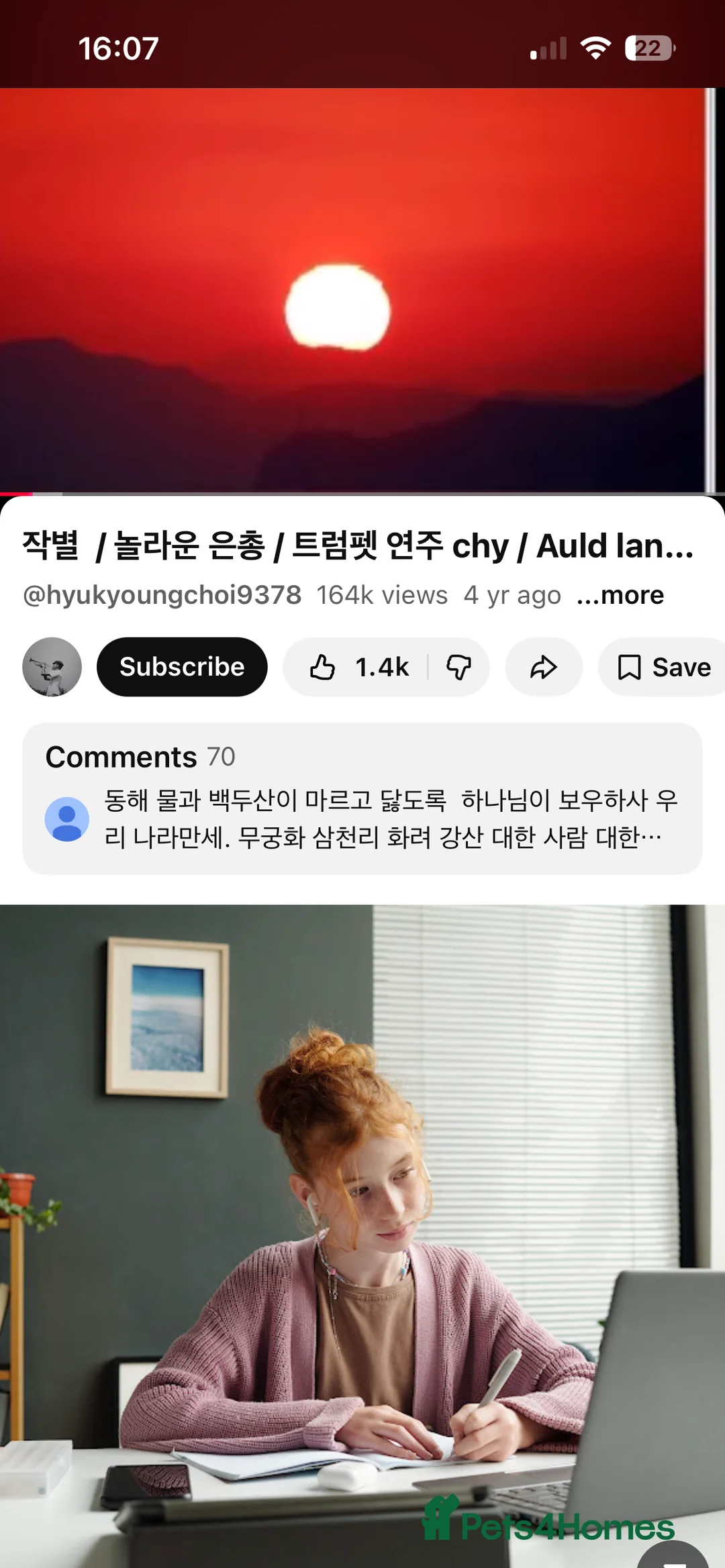 British Shorthair cats for sale: 3 adorable male kittens for sale - Advert 5