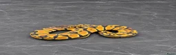 Python Snake reptiles for sale: Baby / Juvenile Ball Pythons  - Advert 12