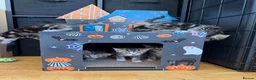 Mixed Breed cats for sale: Beautiful tabby kittens for sale  in Brighton - Advert 24