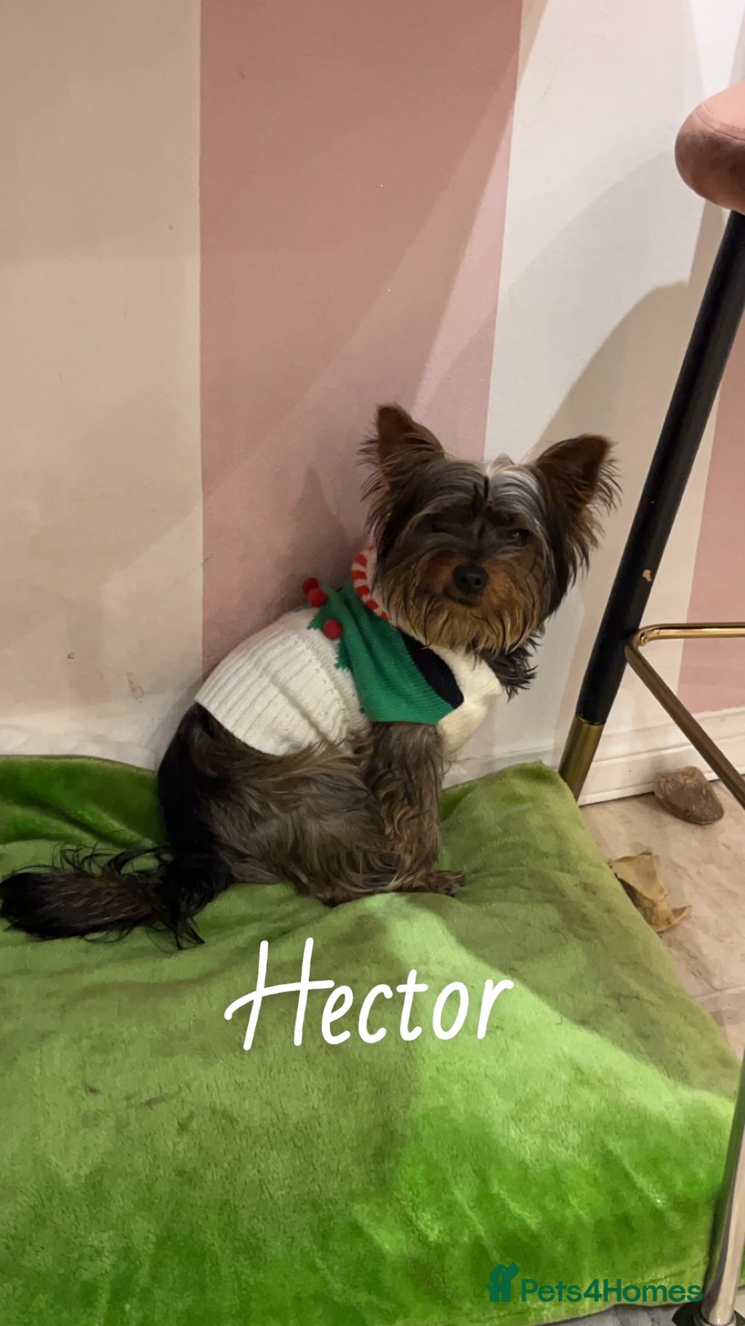 Gallery Image {{count}}