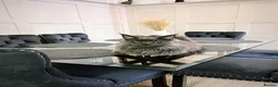 Maine Coon cats for sale: Make mainecoon  - Advert 7