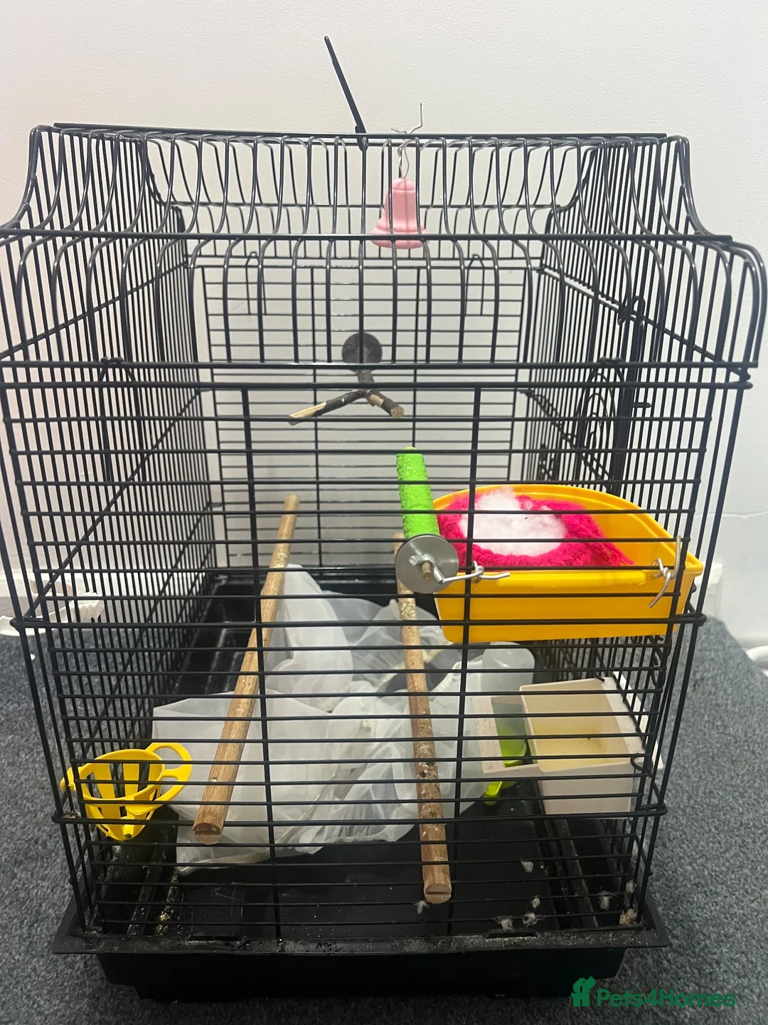 Budgerigars birds for sale: BIRD CAGE  - Advert 3