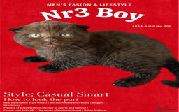 Scottish Fold cats for sale: 3 Scottish Fold Boys STILL AVAILABLE - Image 17