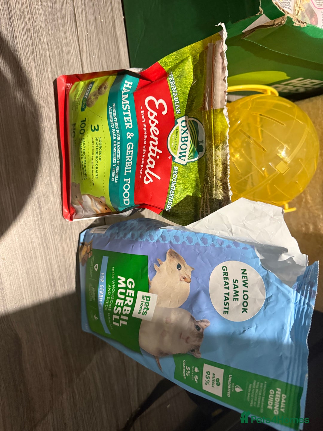 Gerbil rodents for sale: Two male gerbils to be rehomed asap - Image 9