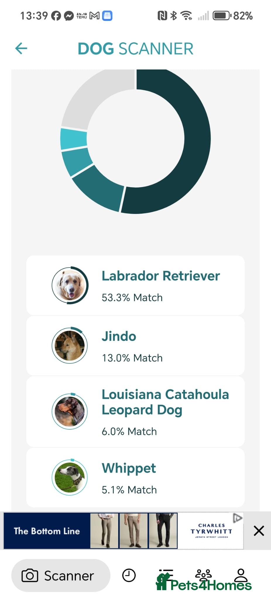 Mixed Breed dogs 🐾🖤 SAM – The Happy, Handsome All-Rounder 🖤🐾 - Advert 2