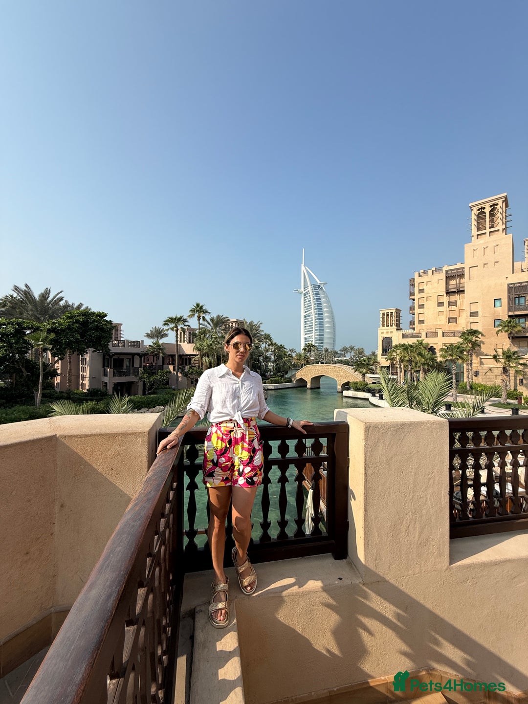 Mixed Breed dogs for sale: Mixed puppies  - Advert 9