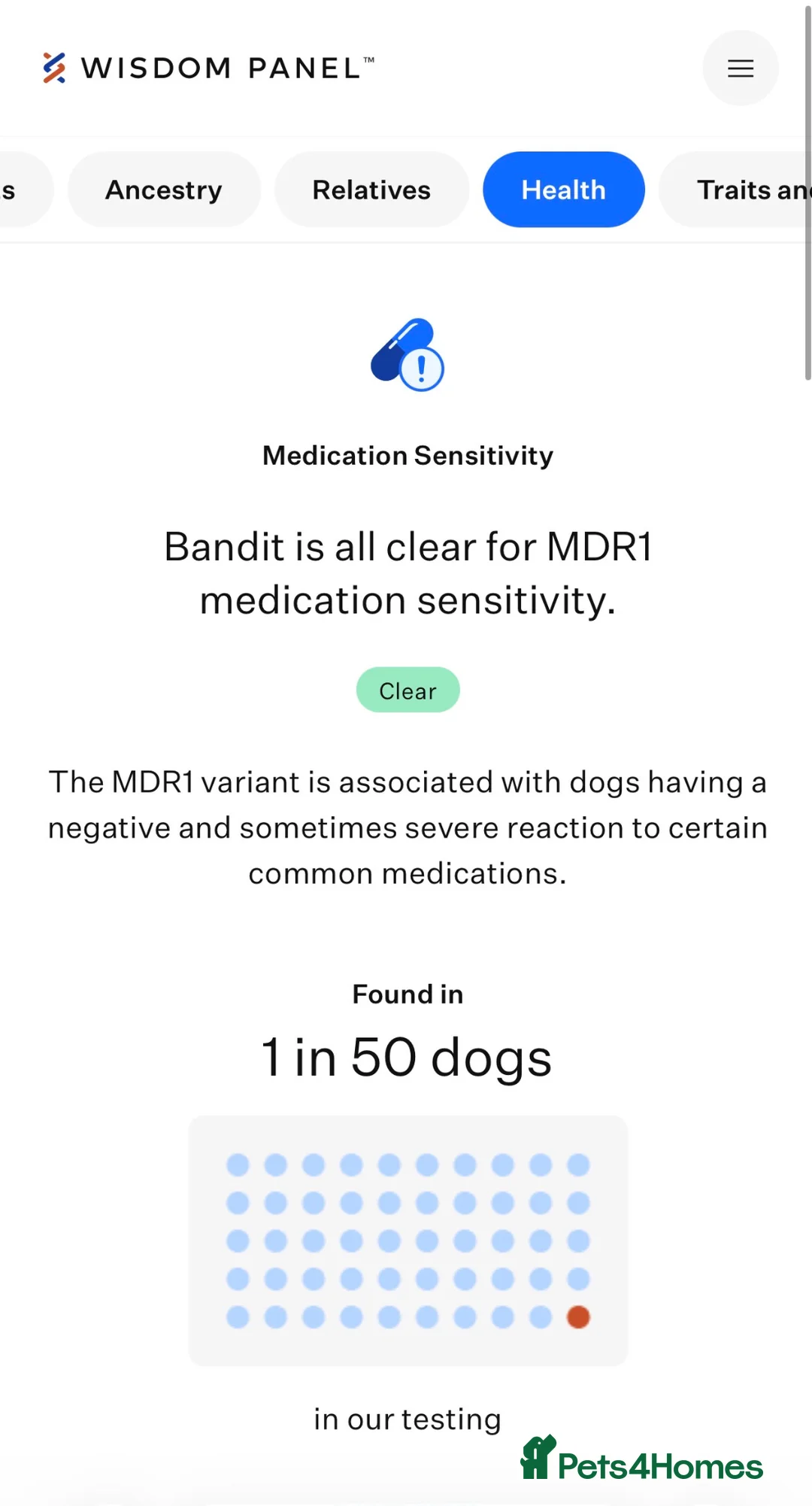 Pomeranian dogs for stud: Pomeranian for STUD  - Advert 6