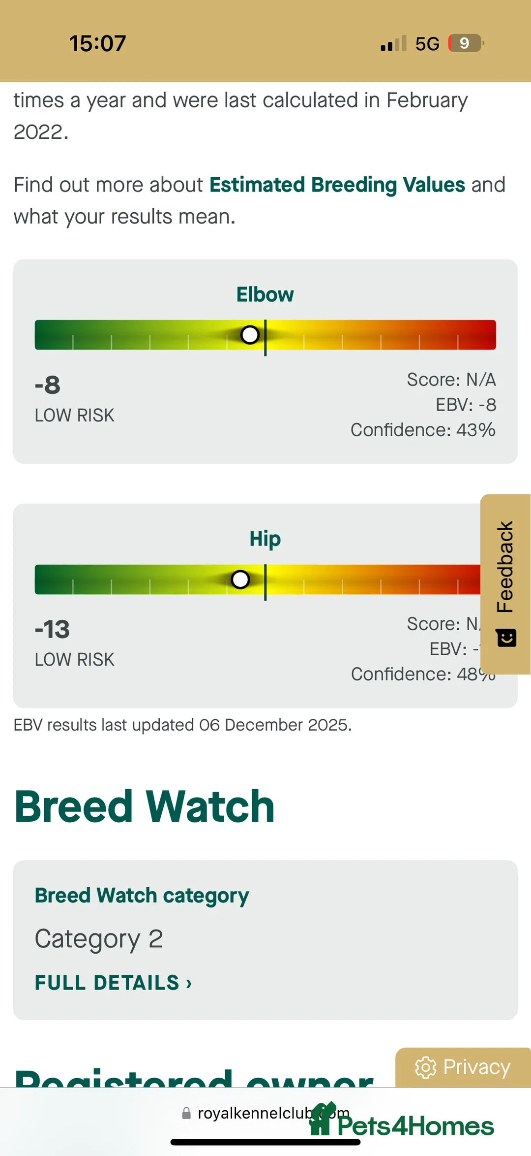 German Shepherd dogs for sale: KC health tested parents 💙 - Advert 7