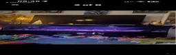 Tetras fish for sale: Full aquarium set up 320L - Advert 3