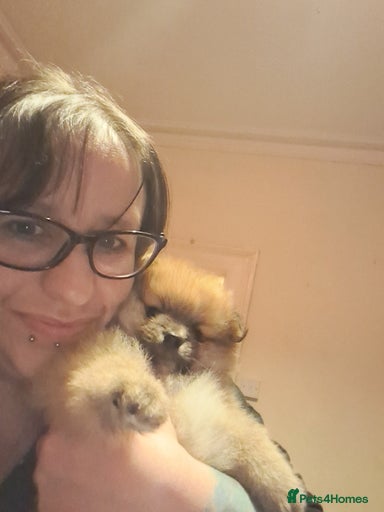 Gallery Image {{count}}